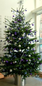 ChristmasTrees20060001