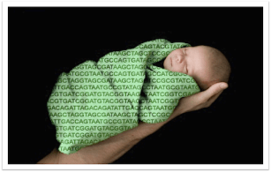 BabySeq