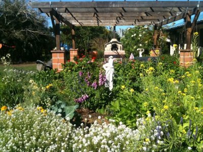 This is a view looking East to one garden bed that is overflowing with abundance & bees.