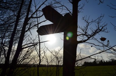 direction-indicators-and-sun