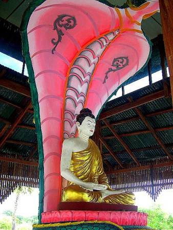 BuddhaAndNaga