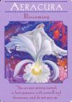 Aeracura