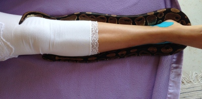 Mani snake 5