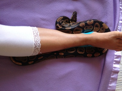 Mani snake 6