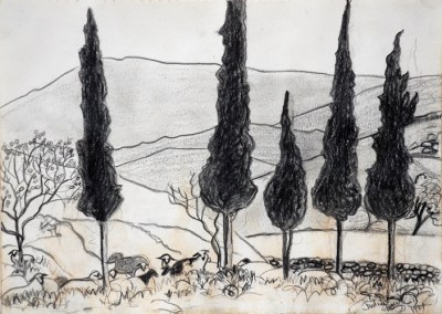Sheep and Cyprus Trees, drawing by Judith Shaw