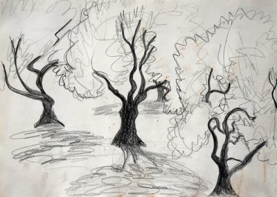 Three Olive Trees, drawing by Judith Shaw