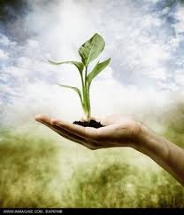 something is growing