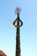 Maibaum_Ostfriesland967