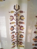 Tree emb Paliani DSCN9092