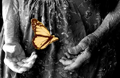 Florence's Hands by Lauren Raine