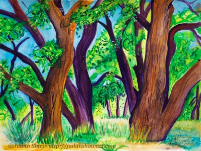 the Cottonwood Dance, painting by Judith Shaw