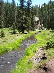 new mexico mountain stream