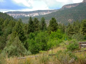 jemez mountain view