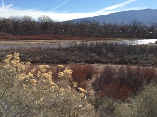Rio Grande north of ABQ