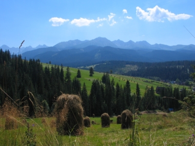 The Carpathian Mountains