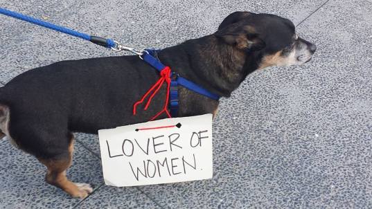 womans-march-14-dog-marcher