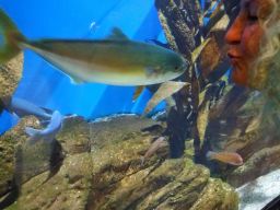 17917479_10155253165563270_4191419913660082954_o (1).jpg