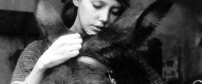 hero_EB20040319REVIEWS08403190305AR