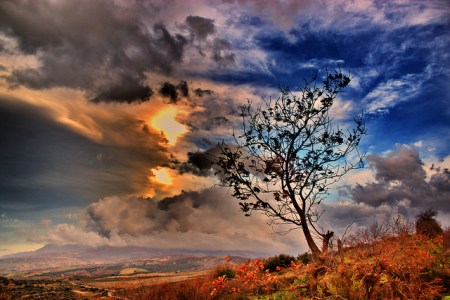 6537070025_7bc9ff663e_z