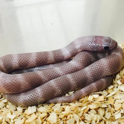 21149562_360942250992816_6660477665926971392_n