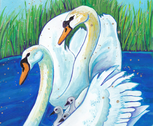 Swan-animal-guide-by-judith-shaw