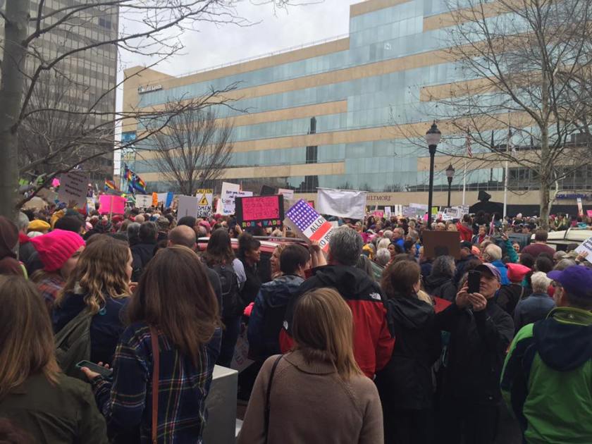 march in asheville 2017