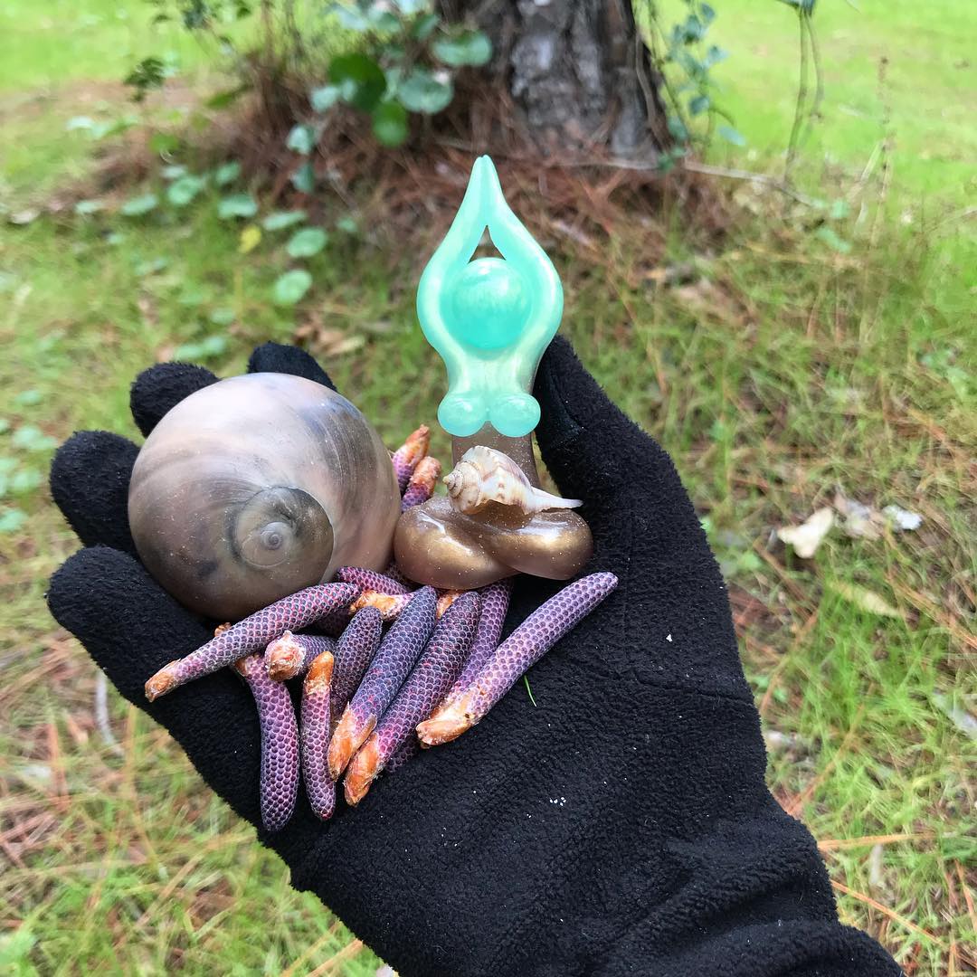 50237778_2257311164481093_3090053013251817472_o