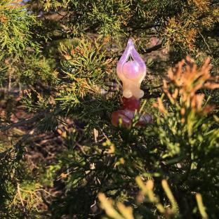 51069975_2265844760294400_4840583805091708928_o