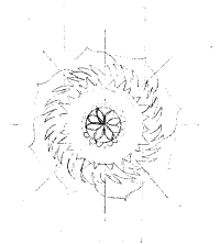 background-design-by-judith-shaw