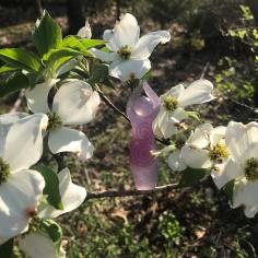 58639012_2319362924942583_1704575264542949376_o(1)