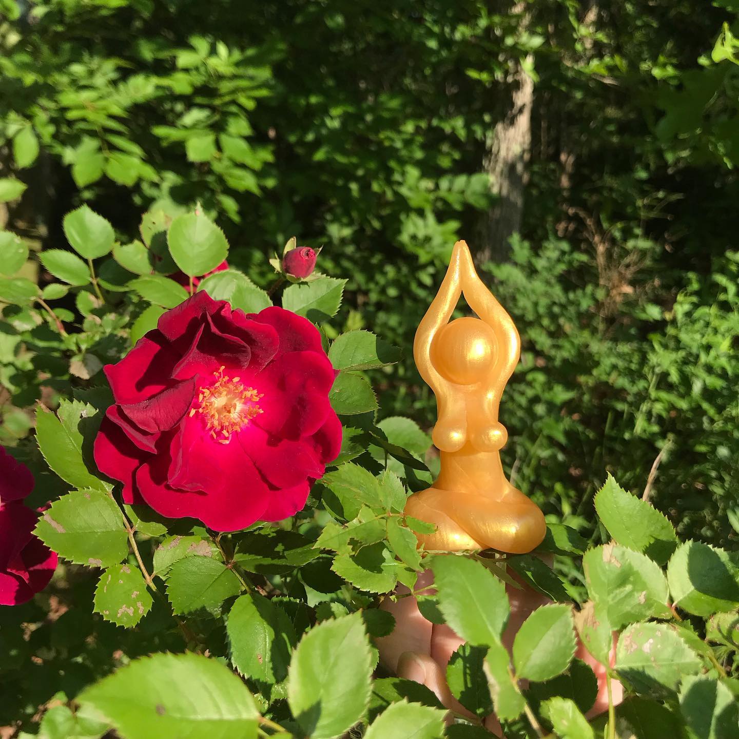 61445954_2342336385978570_2975037873578835968_o(1)