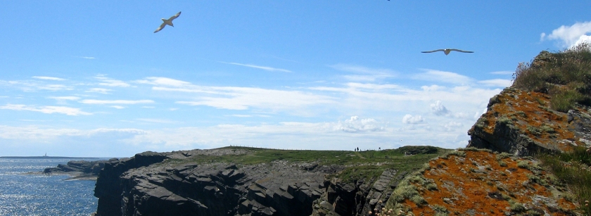 Orkney-island-eagle-tomb