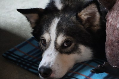 6340555747075180419_IMG_2532