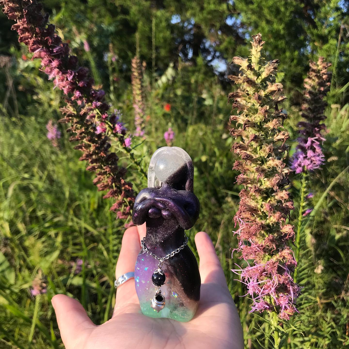 67552265_2390846147794260_5776927048312291328_o