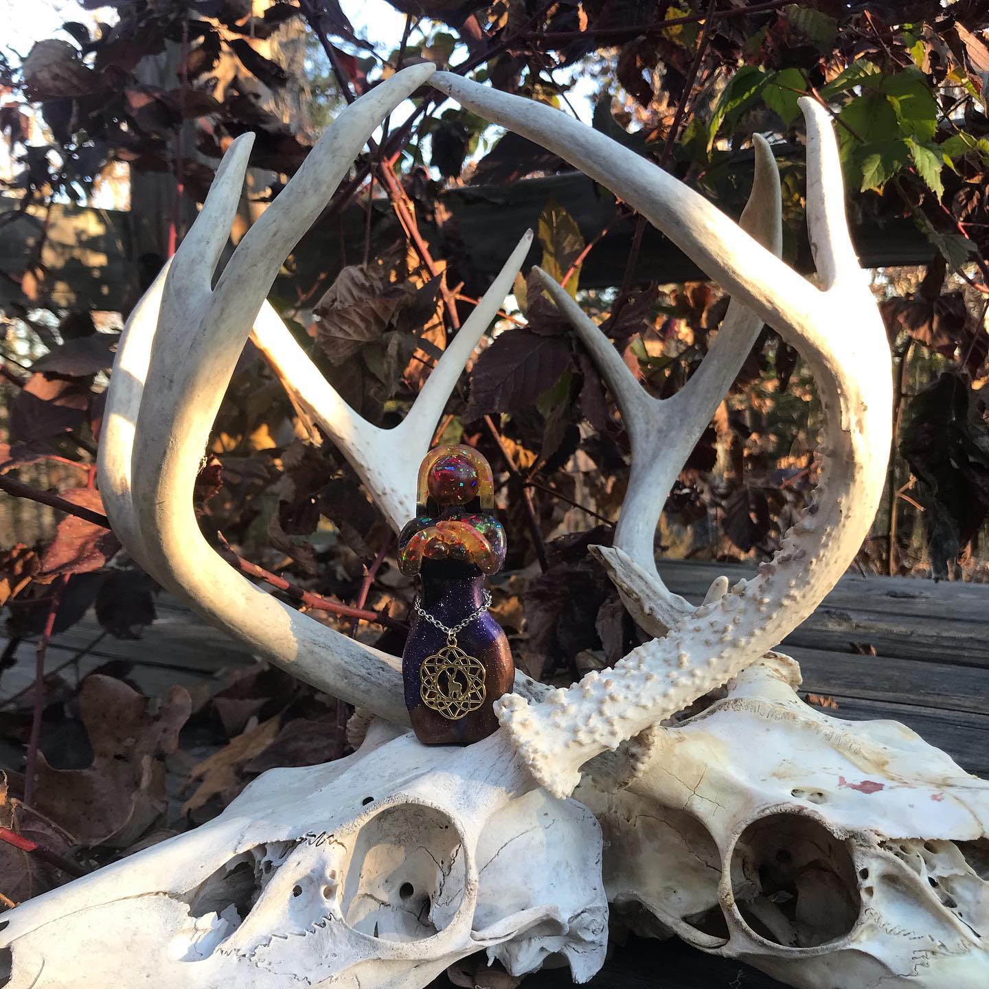 73292554_2486141391598068_5135782722731507712_o