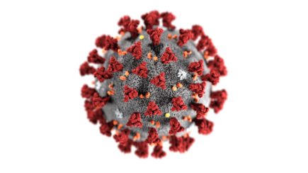 Coronavirus-CDC-768x432