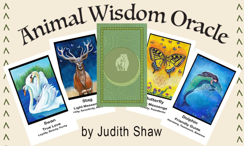 animal-wisdom-oracle-deck-by-judith-shaw
